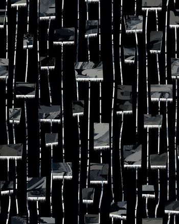 Fei-男装印花华亿平台图片