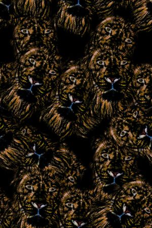 风衣外套印花华亿平台图片