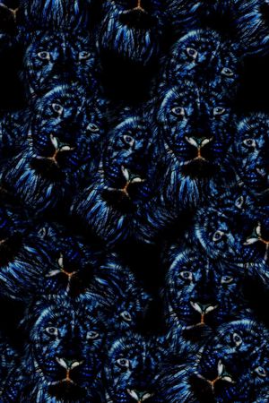 风衣外套印花华亿平台图片