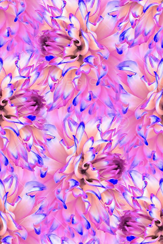 水彩花卉印花华亿平台图片