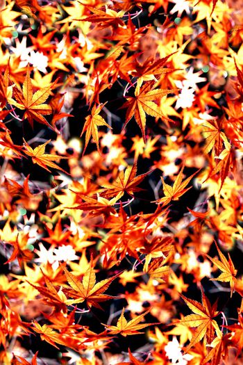 抽象手绘水彩画植物树叶子数码印花印花华亿平台图片