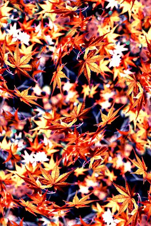 抽象手绘水彩画植物树叶子数码印花印花华亿平台图片