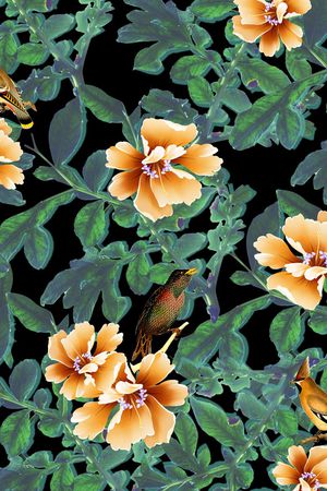 花鸟印花华亿平台图片