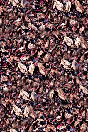 抽象手绘水彩画植物树叶数码印花印花华亿平台图片