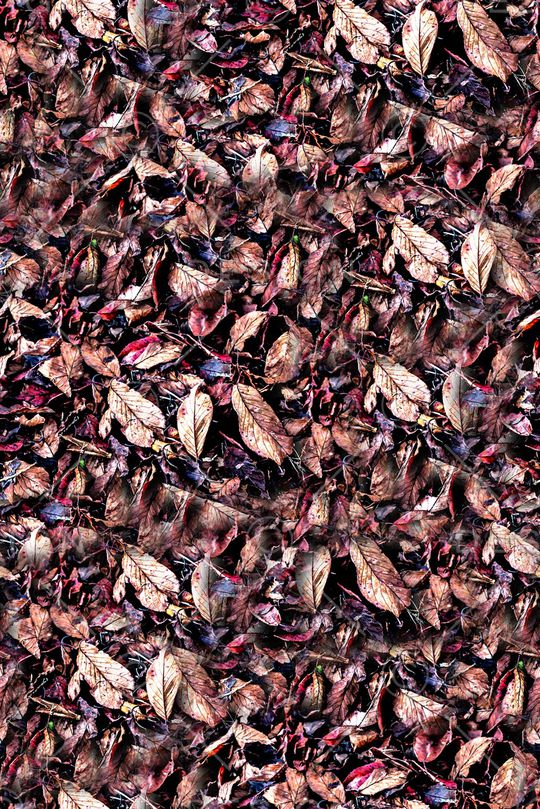 抽象手绘水彩画植物树叶数码印花印花华亿平台图片