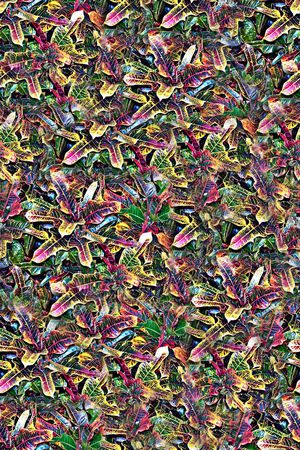 抽象手绘水彩画植物树叶数码印花印花华亿平台图片