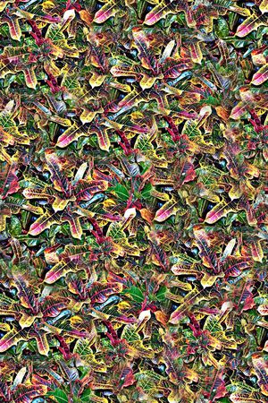 抽象手绘水彩画植物树叶数码印花印花华亿平台图片