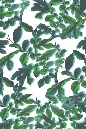 乱花印花华亿平台图片