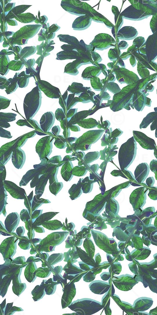 乱花印花华亿平台图片