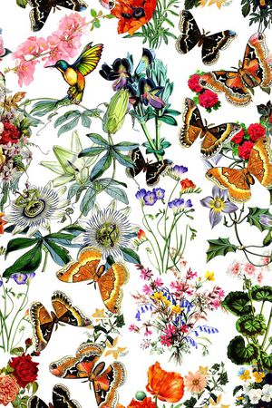 gucci古驰印花华亿平台图片