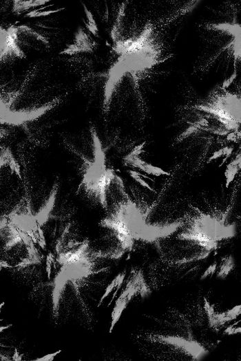 727837-FLZ-10-86.......