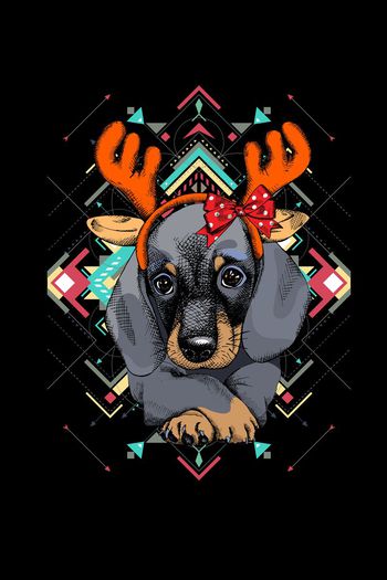 动物印花华亿平台图片