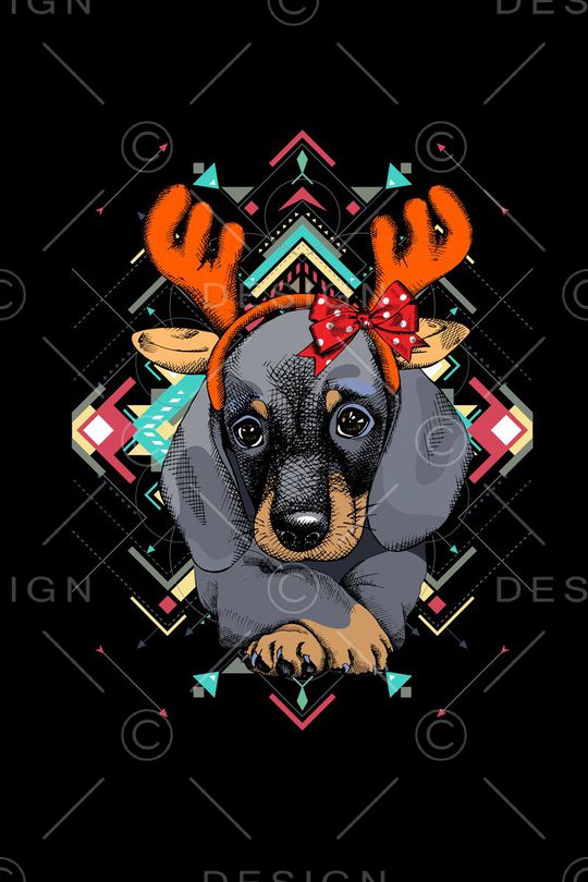 动物印花华亿平台图片