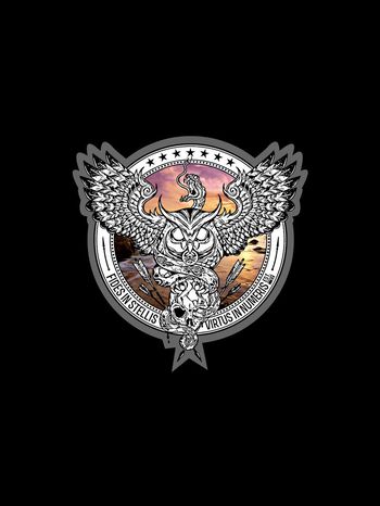 老鹰印花华亿平台图片