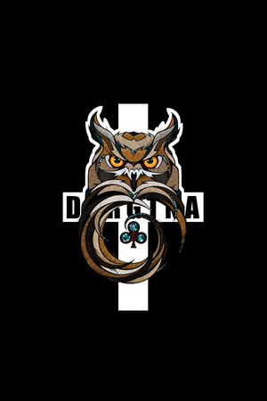 猫头鹰印花华亿平台图片