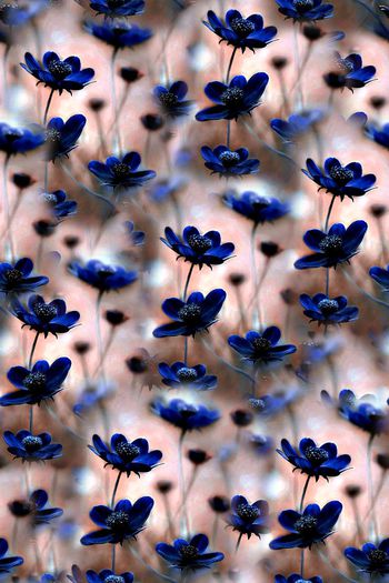 抽象手绘水彩画花卉数码印花印花华亿平台图片