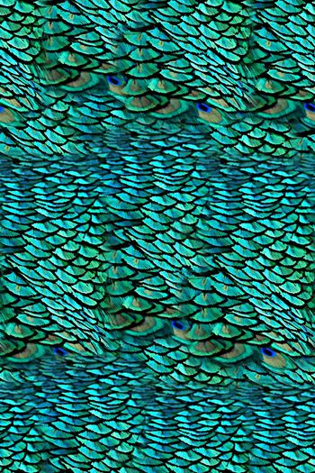 抽象彩绘孔雀羽毛数码印花印花华亿平台图片