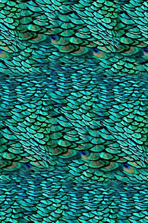 抽象彩绘孔雀羽毛数码印花印花华亿平台图片