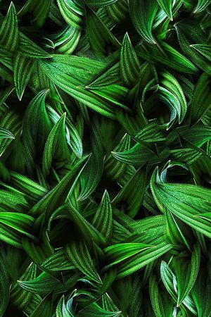 写实印花华亿平台图片