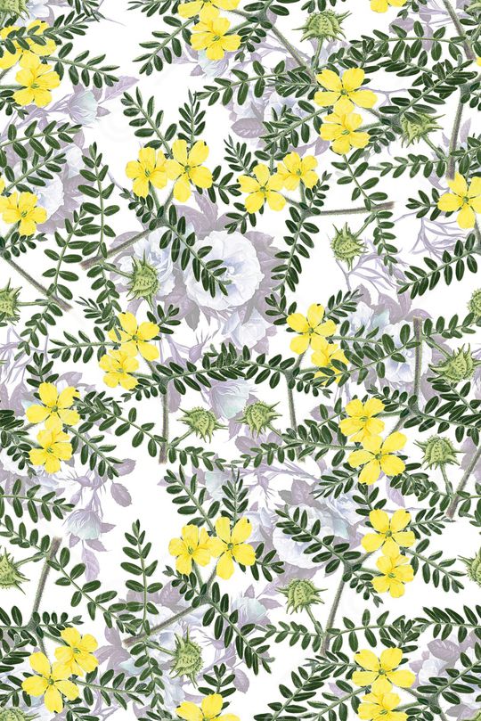 绿叶印花华亿平台图片