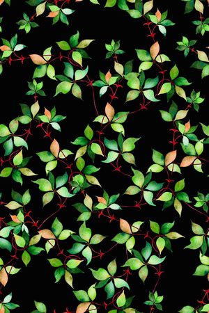 树枝印花华亿平台图片