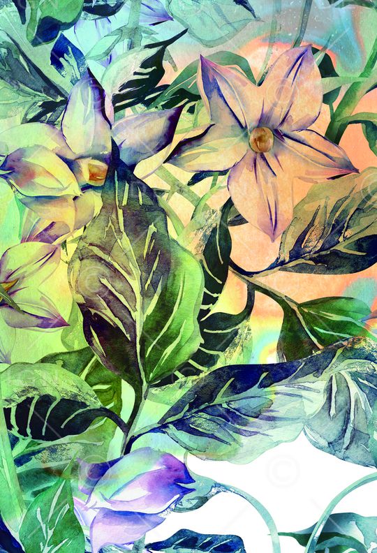 花瓣印花华亿平台图片