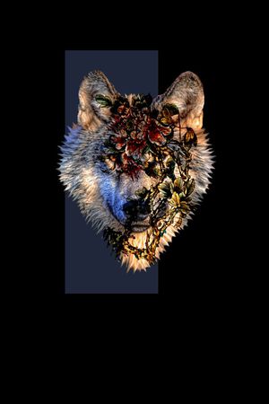 抽象手绘几何动物浪头数码印花印花华亿平台图片