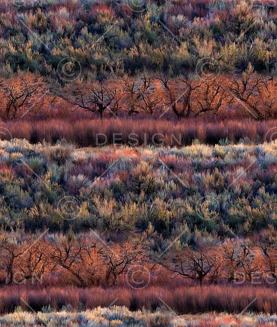 抽象手绘风景森林数码印花印花华亿平台图片