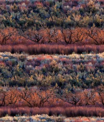 抽象手绘风景森林数码印花印花华亿平台图片