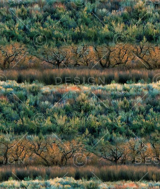抽象手绘风景森林数码印花印花华亿平台图片