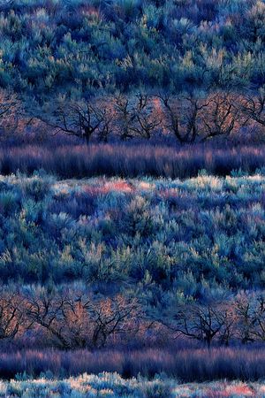抽象手绘风景森林数码印花印花华亿平台图片