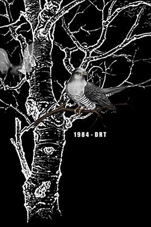 树印花华亿平台图片