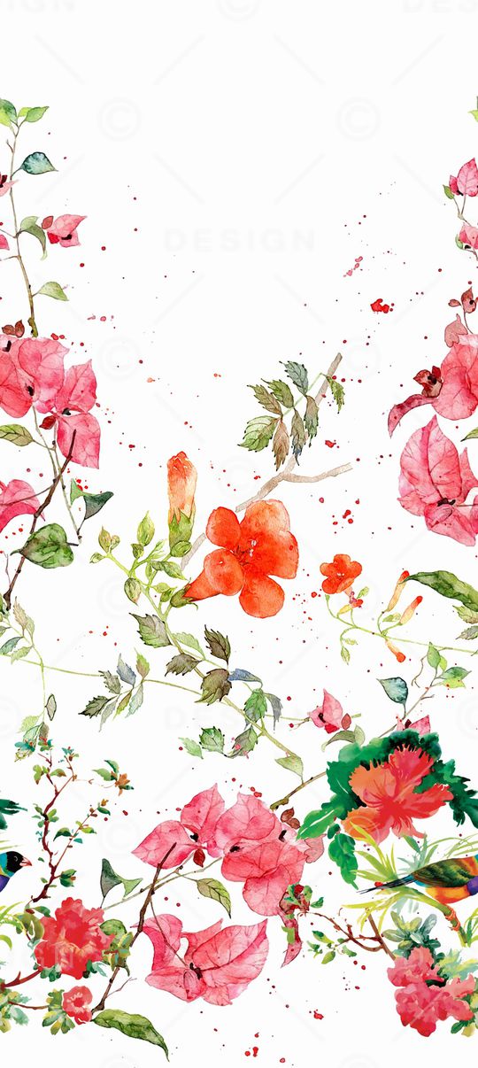 花鸟印花华亿平台图片