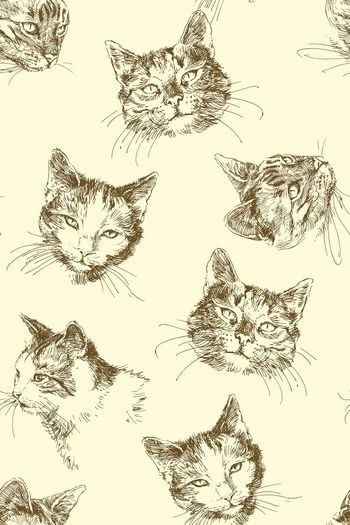 童装印花华亿平台图片