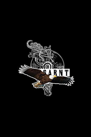 老鹰印花华亿平台图片