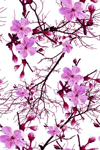 728642-花和枝 粉红