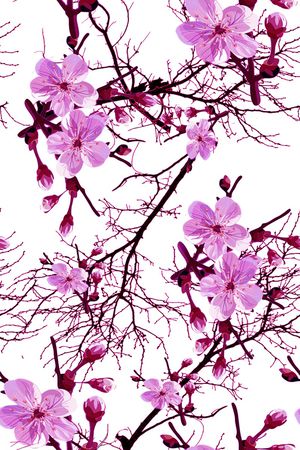 血红印花华亿平台图片