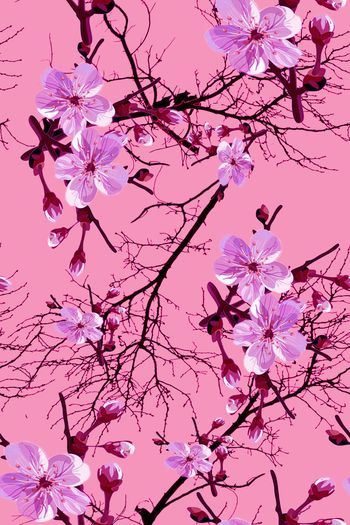 728643-花和枝 粉红底纹