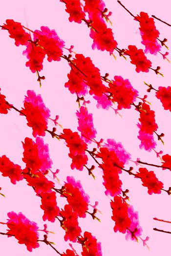 728693-桃花枝浅粉