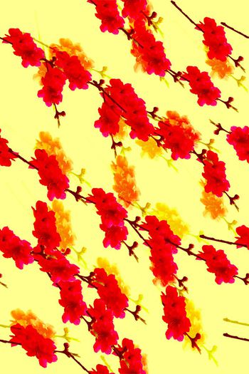 728694-桃花枝浅黄