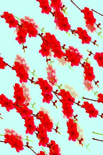 728695-桃花枝浅蓝