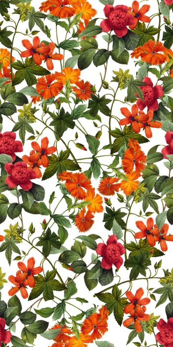 728929-20161025-23S-1