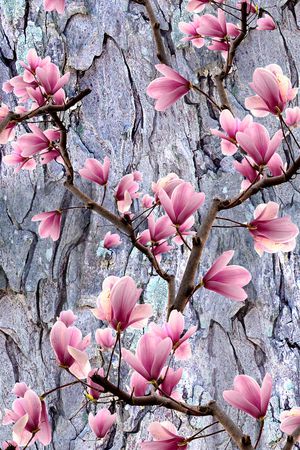 乱花印花华亿平台图片