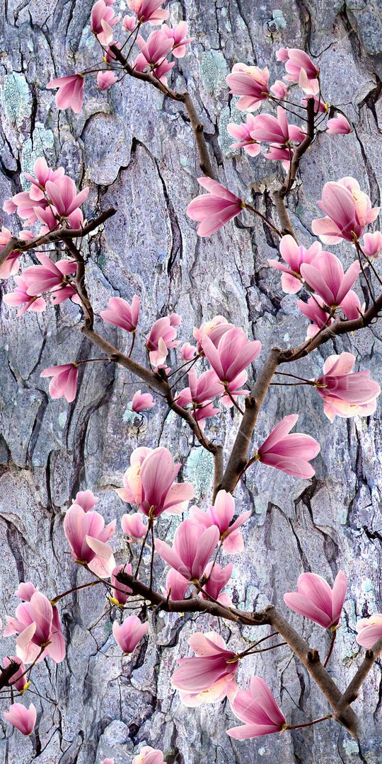 乱花印花华亿平台图片