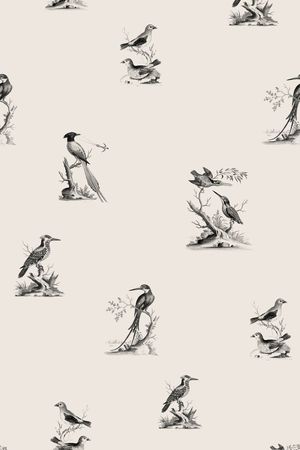 鸟印花华亿平台图片