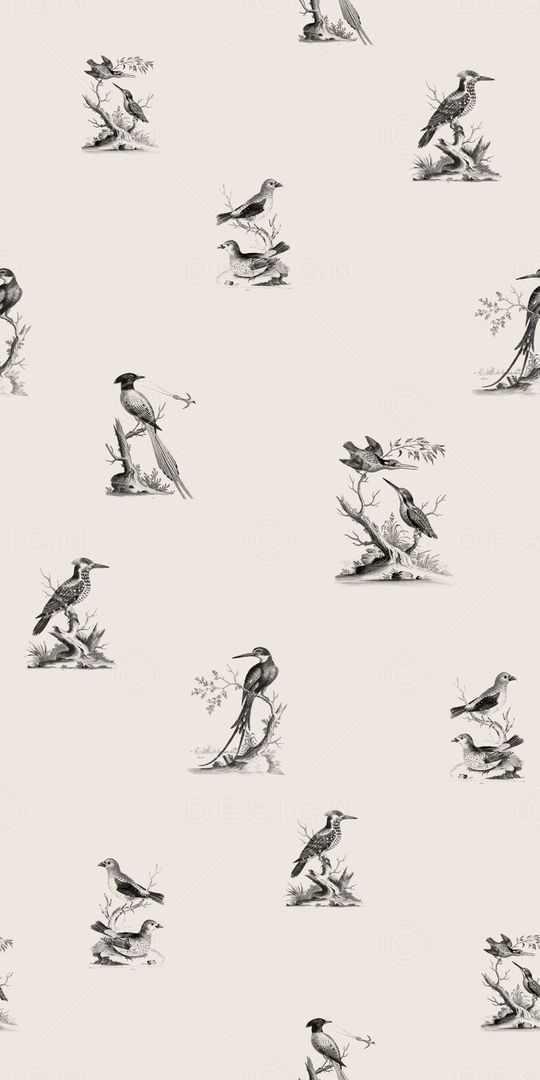 鸟印花华亿平台图片