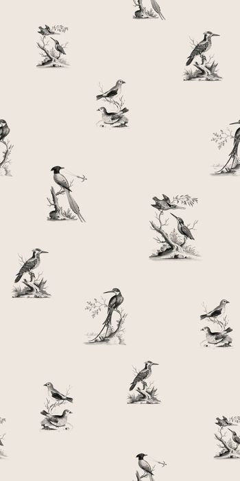 鸟印花华亿平台图片