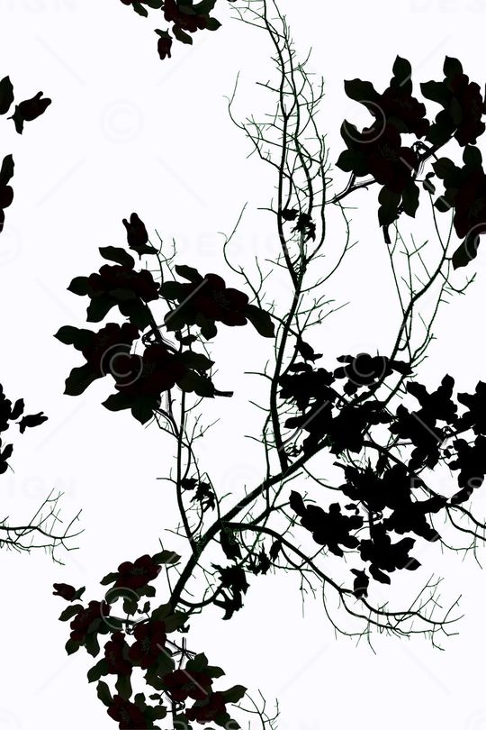 血红印花华亿平台图片