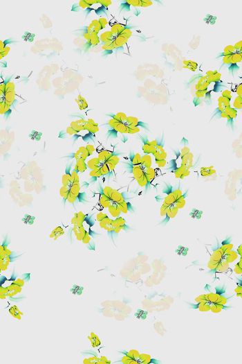 729065-花开花白-黄