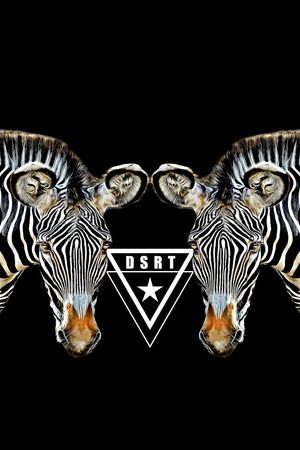 斑马印花华亿平台图片